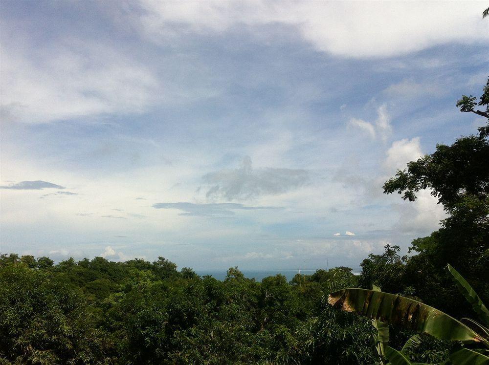 Hotel California Manuel Antonio Dış mekan fotoğraf