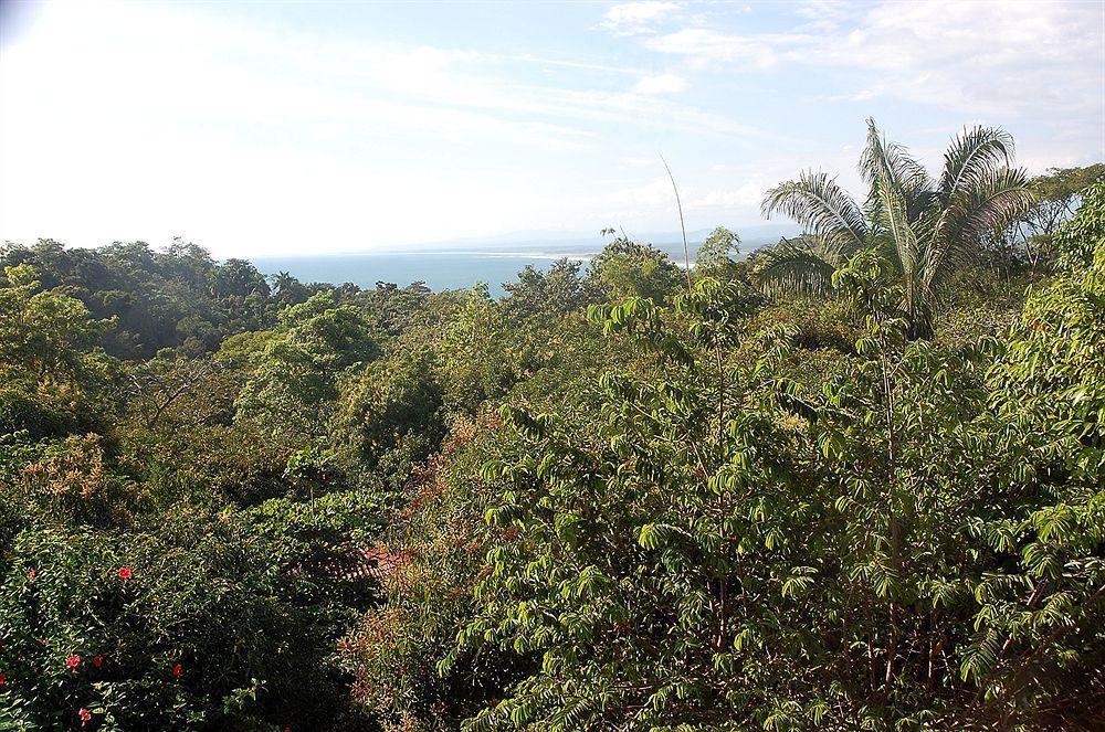 Hotel California Manuel Antonio Dış mekan fotoğraf